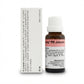 Dr. Reckeweg R9 Jutussin Cough Drops 22ml | Natural Homeopathic Cough Relief
